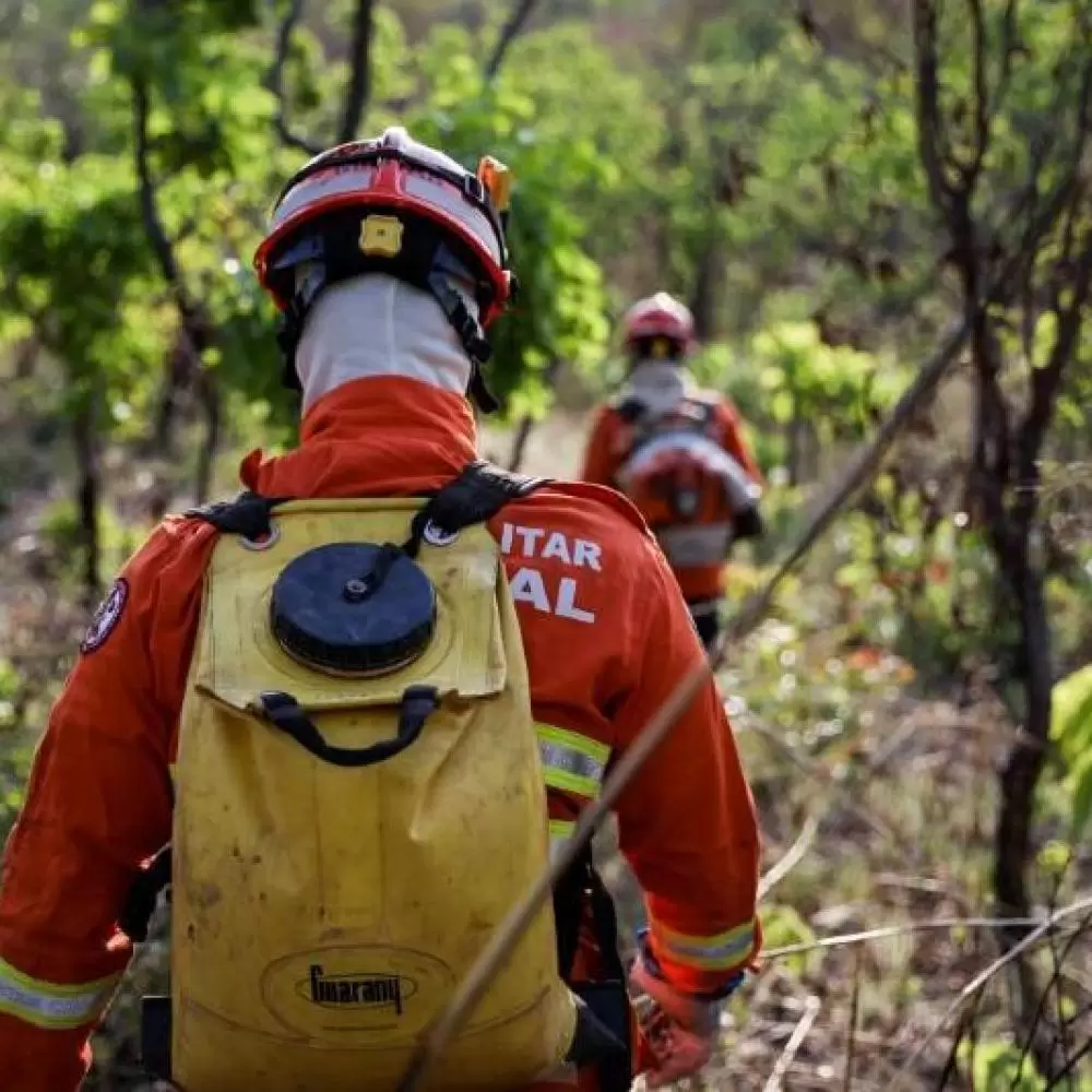  Bombeiros apagam incêndio no Parque Serra Ricardo Franco
