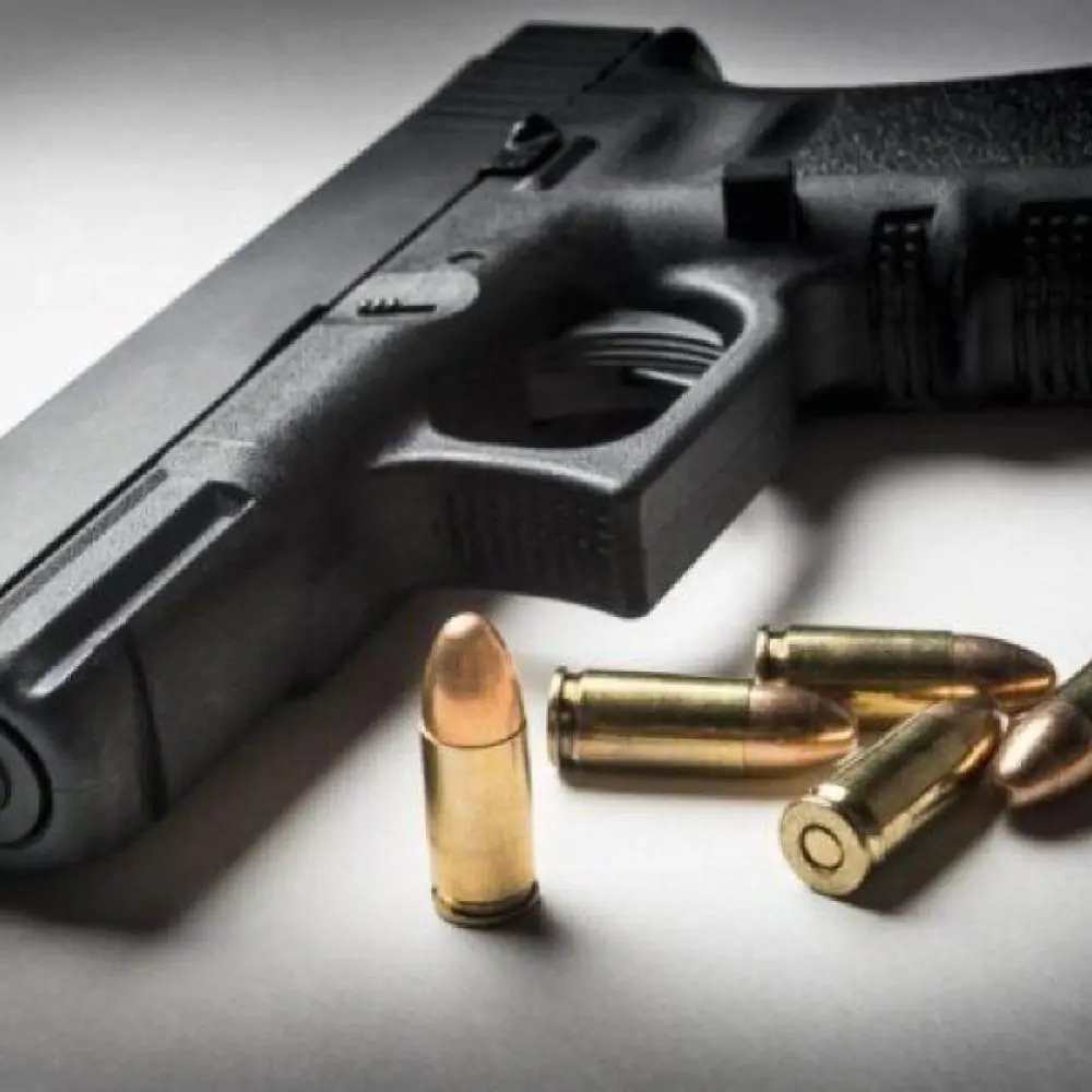 Câmara avança com projeto que libera venda de armas usadas a policiais Câmara avança com projeto que libera venda de armas usadas a policiais