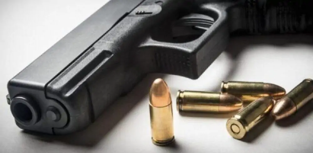  Câmara avança com projeto que libera venda de armas usadas a policiais