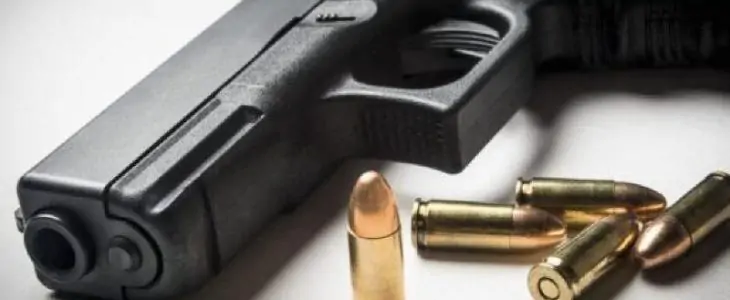  Câmara avança com projeto que libera venda de armas usadas a policiais