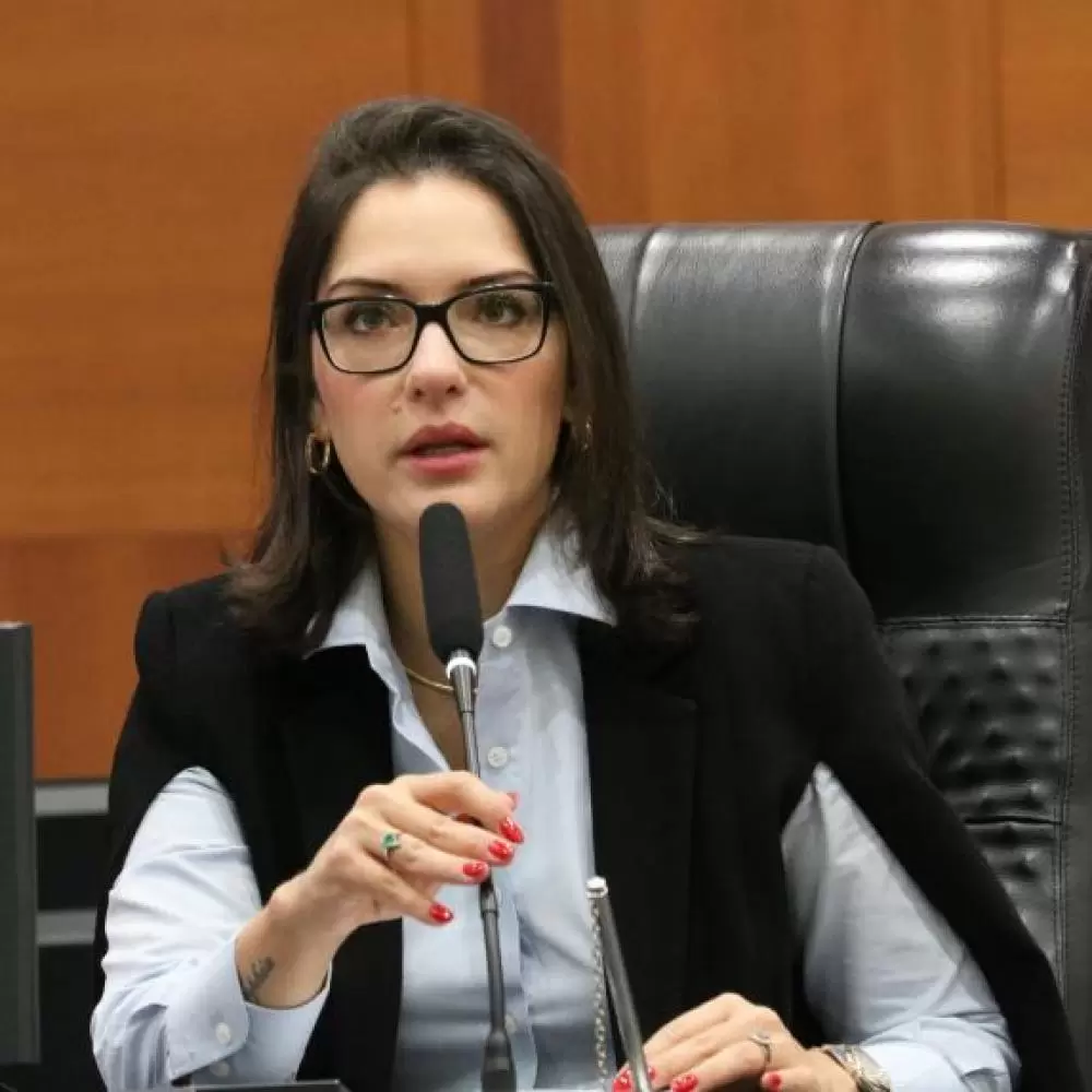  Deputada diz que Governo antecipou embate político: “Não precisava disso agora”