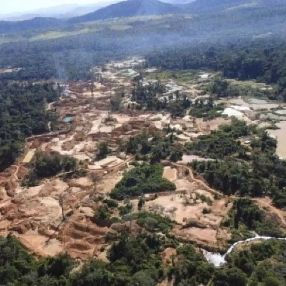 Desembargadora barra mineração em reservas legais em MT