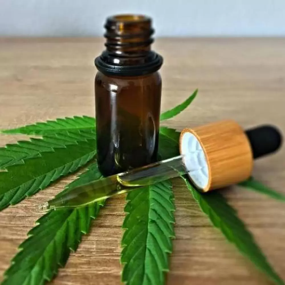  Justiça derruba lei que obrigava SUS a distribuir cannabis medicinal em MT