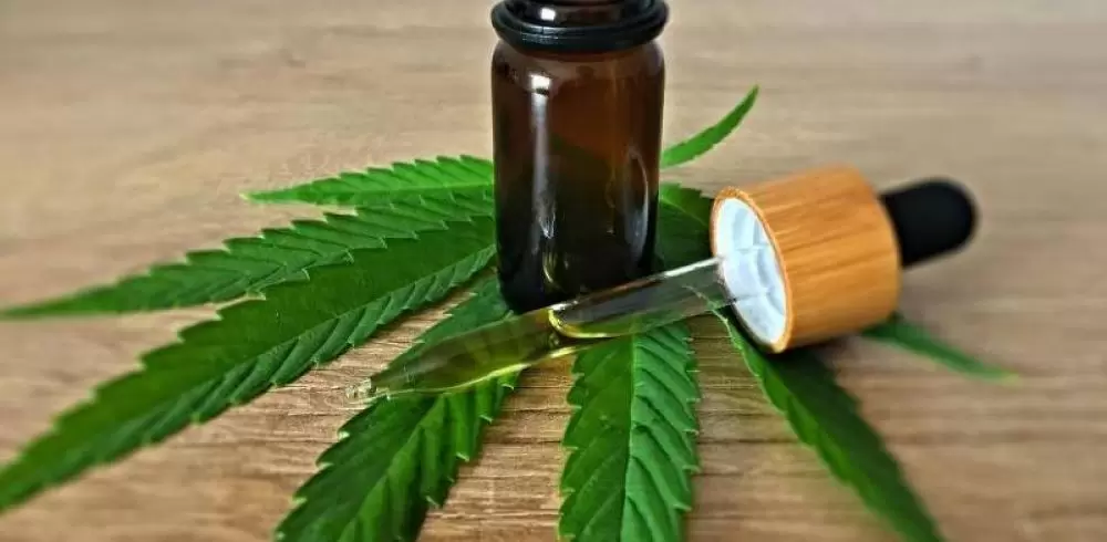 Justiça derruba lei que obrigava SUS a distribuir cannabis medicinal em MT Justiça derruba lei que obrigava SUS a distribuir cannabis medicinal em MT