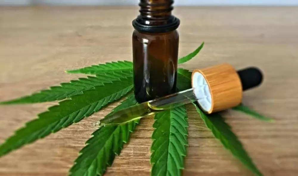  Justiça derruba lei que obrigava SUS a distribuir cannabis medicinal em MT