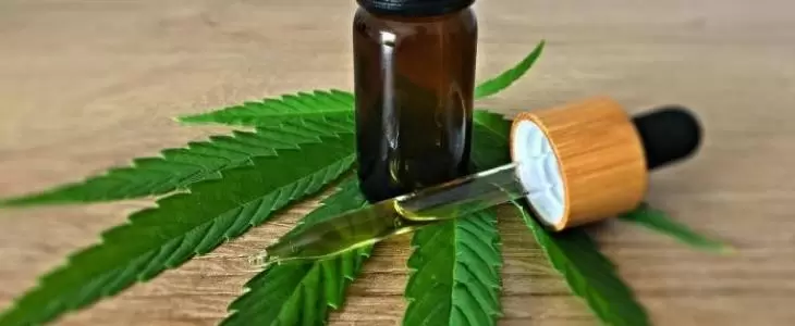  Justiça derruba lei que obrigava SUS a distribuir cannabis medicinal em MT