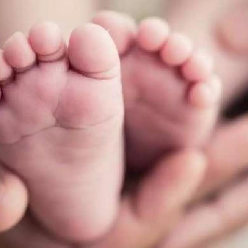 Lei obriga INSS a liberar salário-maternidade rapidamente Lei obriga INSS a liberar salário-maternidade rapidamente