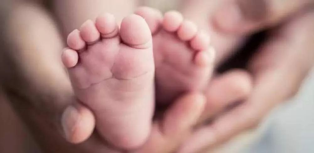 Lei obriga INSS a liberar salário-maternidade rapidamente