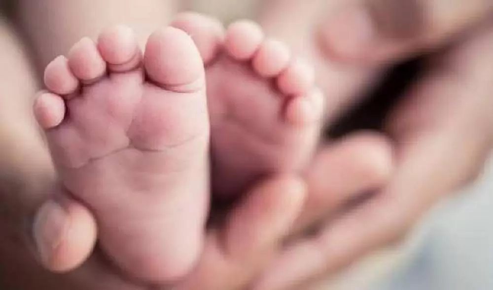  Lei obriga INSS a liberar salário-maternidade rapidamente