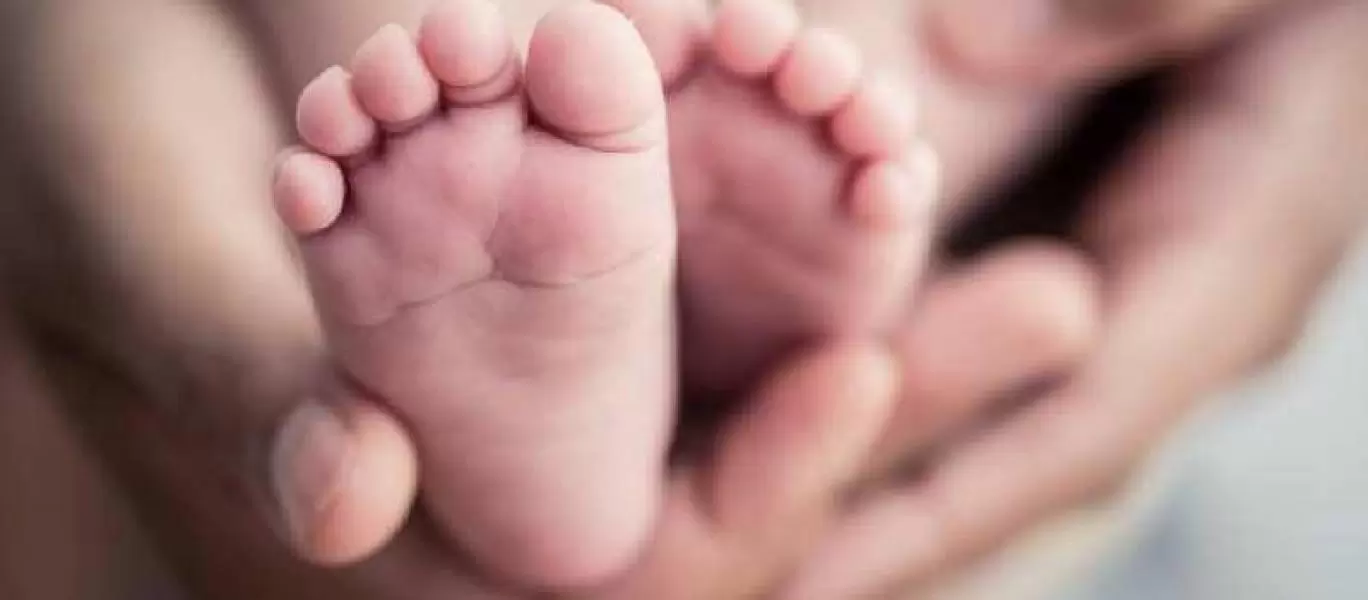 Lei obriga INSS a liberar salário-maternidade rapidamente