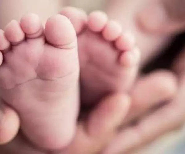  Lei obriga INSS a liberar salário-maternidade rapidamente