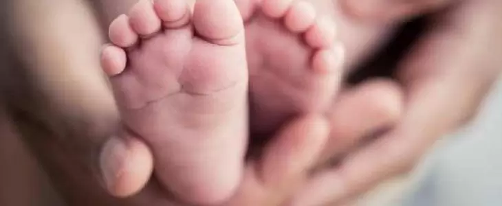 Lei obriga INSS a liberar salário-maternidade rapidamente Lei obriga INSS a liberar salário-maternidade rapidamente