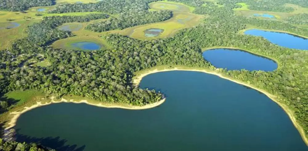  Pantanal ganha selo sustentável e marco legal de preservação
